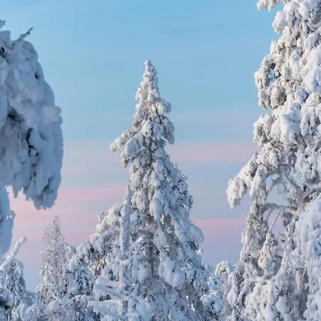Apartament Aekaesentie 1 A 207 By In Lapland *
